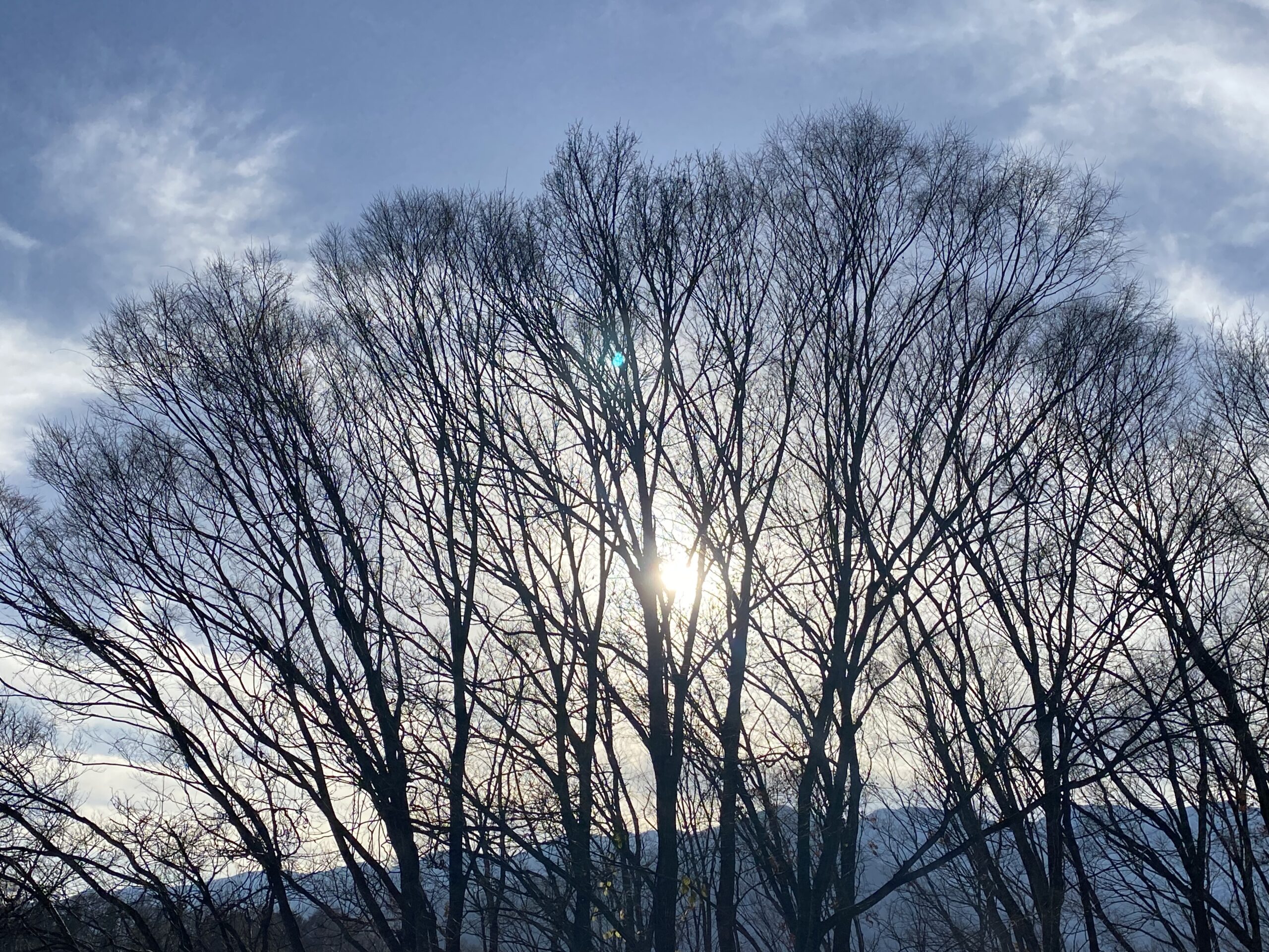 老子道徳経第67章何よりも大切にしたい三つのこと｜望む未来は自分でつくる☆あなたの才能の星を煌めかす☆星読みと音だまのアルケミースペース